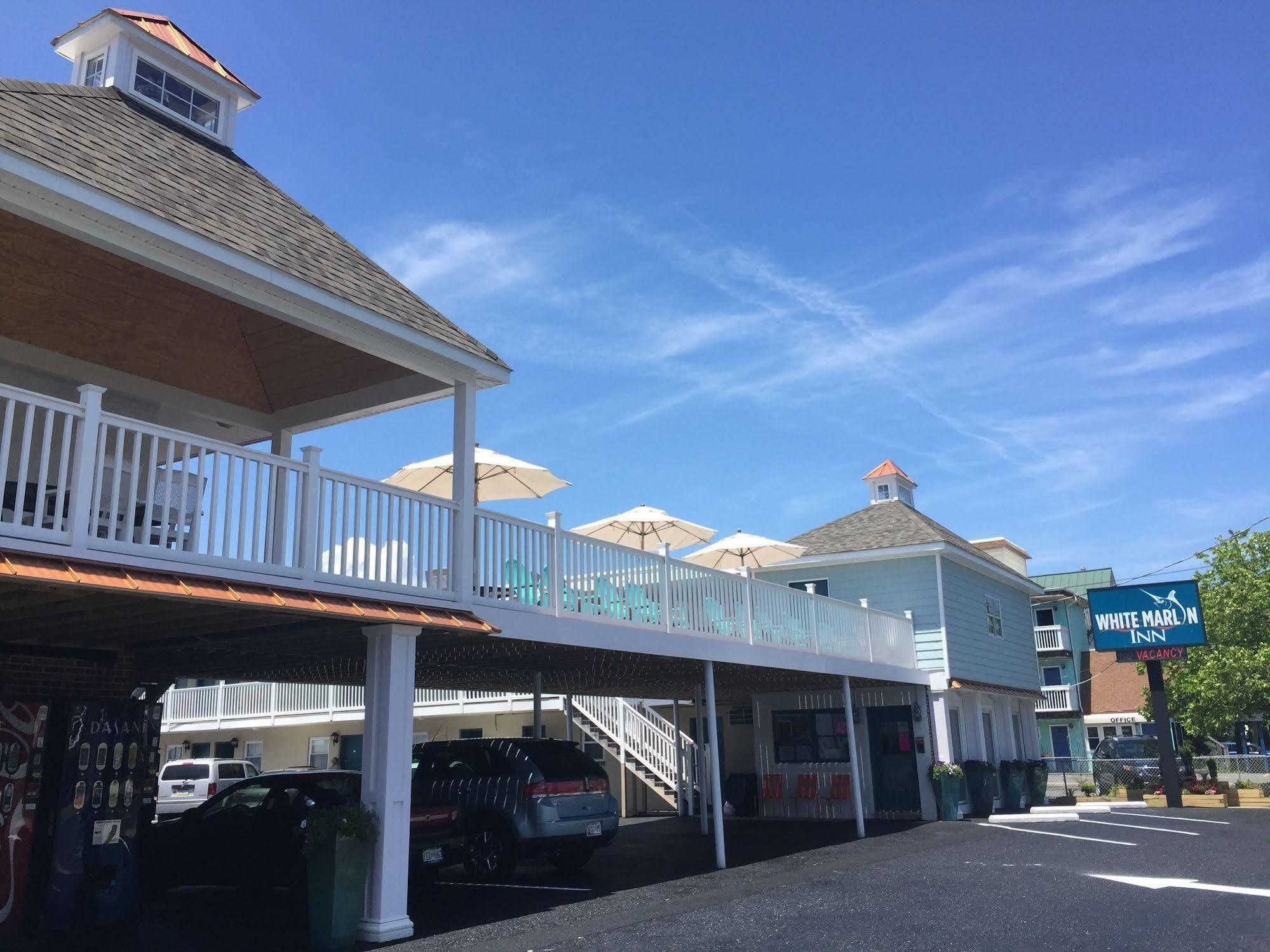 White Marlin Inn Ocean City Exterior foto